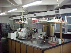 Laboratorio di radiobiologia
