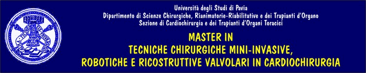 Master in Tecniche Chirurgiche Mini-Invasive, Robotiche e Ricostruttive Vascolari in Cardiochirurgia
